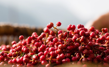 花椒有何用途呢？